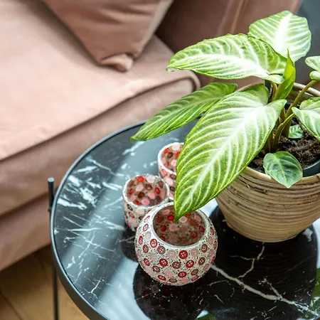 Summertime Panzió Koksijde