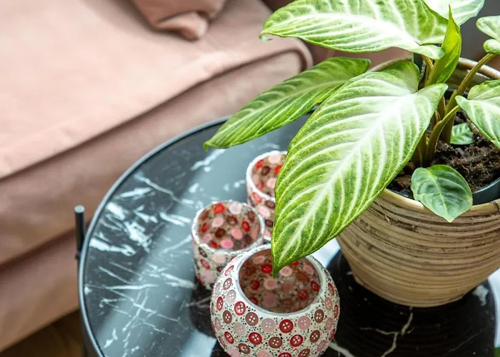 Summertime Bed & Breakfast Koksijde