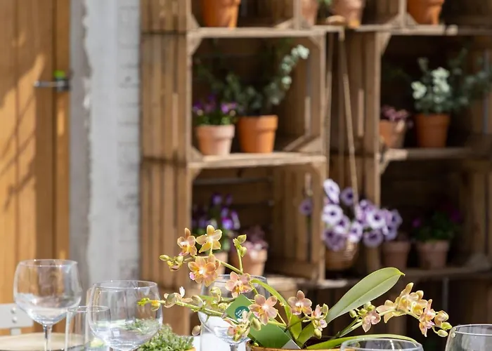 Summertime 4* Koksijde